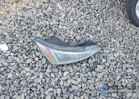 2019 Hyundai Elantra Sel z USA, uszkodzony, nr VIN KMHD84LF9KU825916